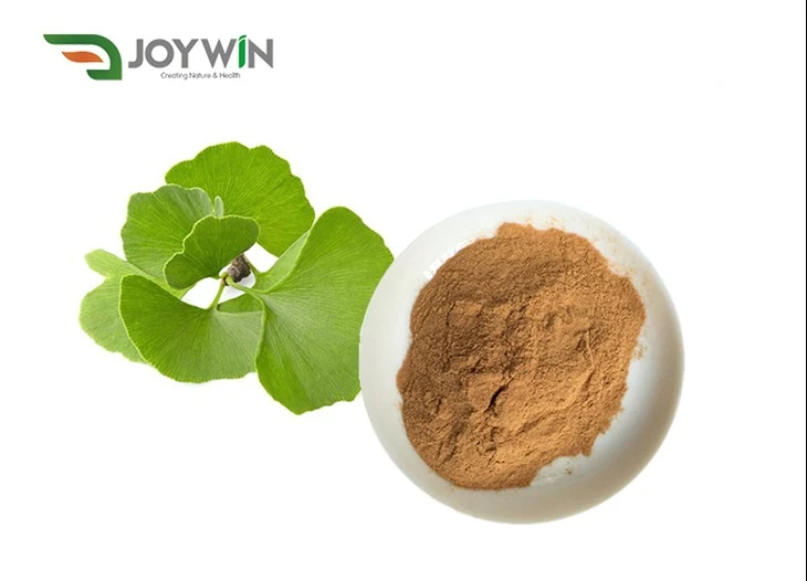 Ginkgo en pols