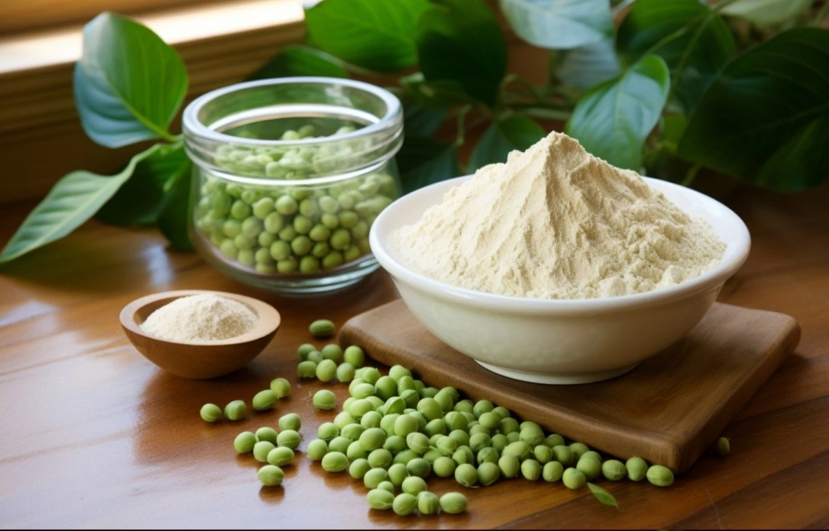 Pea protein isolate Pea protein isolate