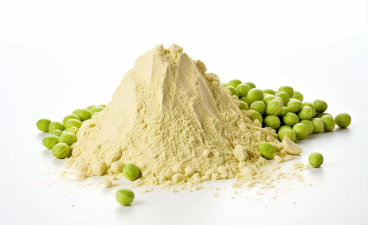 Pea protein isolate powder Pea protein isolate powder