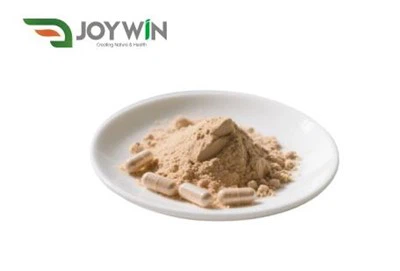 Krill Oil Powder